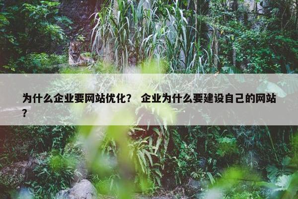 为什么企业要网站优化？ 企业为什么要建设自己的网站？