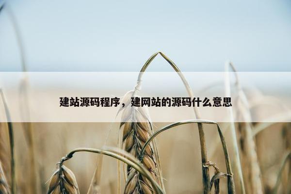 建站源码程序，建网站的源码什么意思