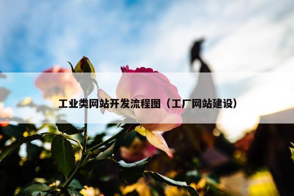 工业类网站开发流程图（工厂网站建设）