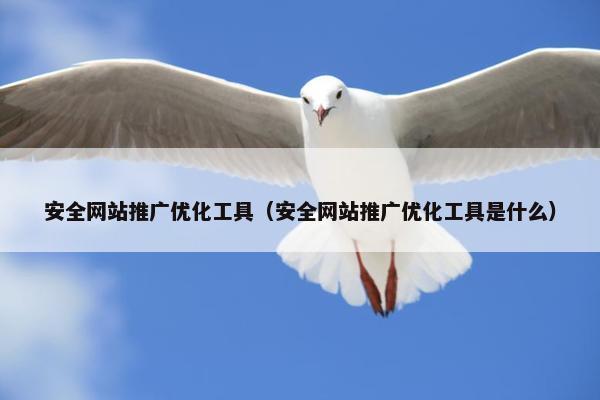 安全网站推广优化工具（安全网站推广优化工具是什么）