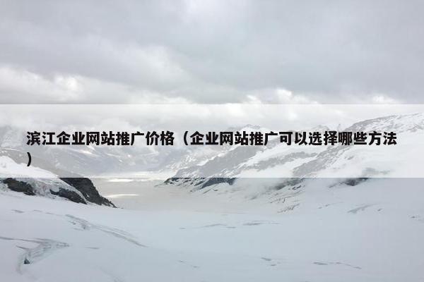 滨江企业网站推广价格（企业网站推广可以选择哪些方法）