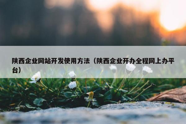 陕西企业网站开发使用方法（陕西企业开办全程网上办平台）