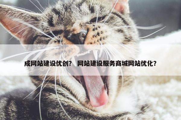 成网站建设优创？ 网站建设服务商城网站优化？