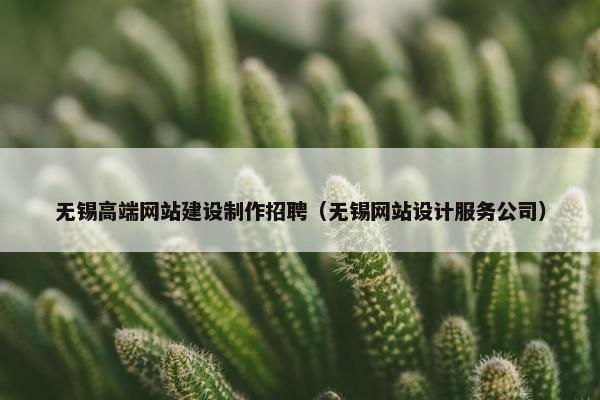 无锡高端网站建设制作招聘（无锡网站设计服务公司）