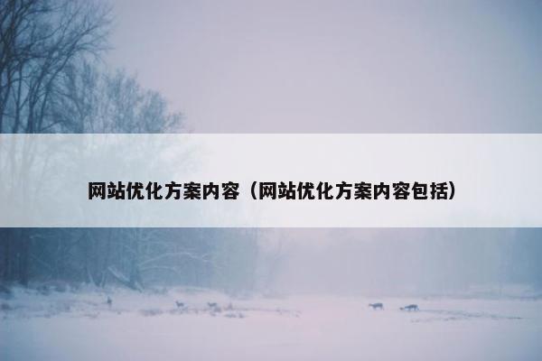 网站优化方案内容（网站优化方案内容包括）