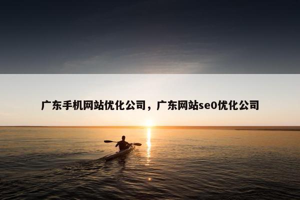 广东手机网站优化公司，广东网站se0优化公司