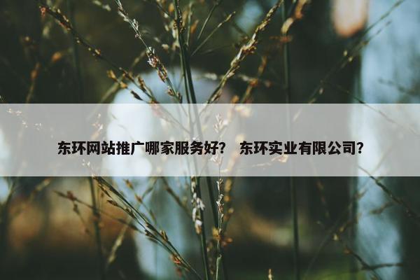 东环网站推广哪家服务好？ 东环实业有限公司？