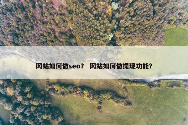 网站如何做seo？ 网站如何做提现功能？