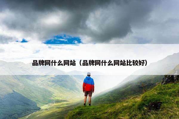 品牌网什么网站（品牌网什么网站比较好）