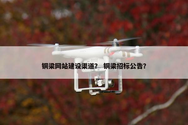 铜梁网站建设渠道？ 铜梁招标公告？