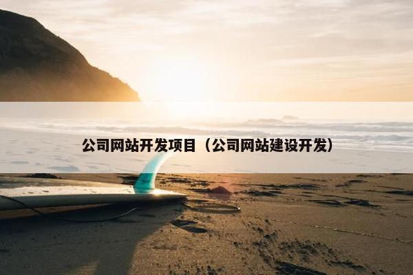 公司网站开发项目（公司网站建设开发）