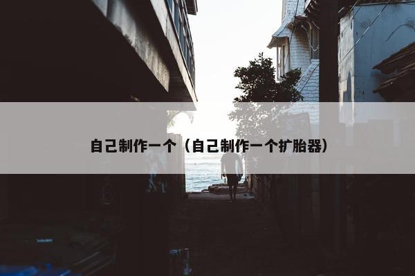 自己制作一个（自己制作一个扩胎器）