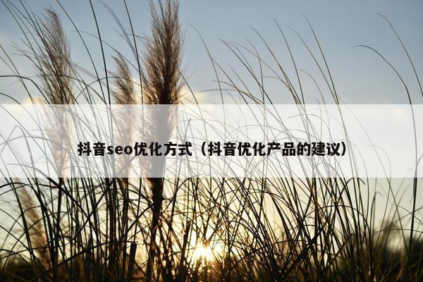 抖音seo优化方式（抖音优化产品的建议）