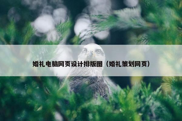 婚礼电脑网页设计排版图（婚礼策划网页）