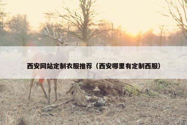 西安网站定制衣服推荐（西安哪里有定制西服）