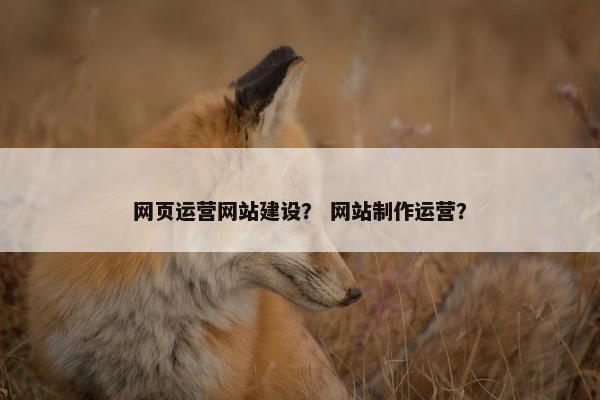 网页运营网站建设？ 网站制作运营？