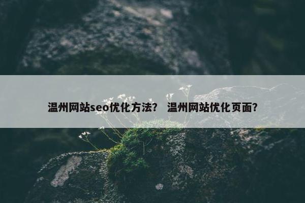 温州网站seo优化方法？ 温州网站优化页面？