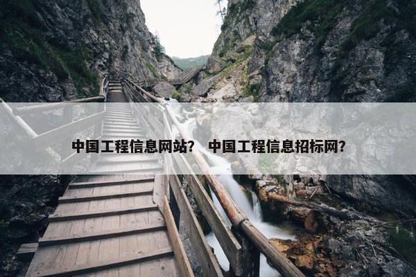 中国工程信息网站？ 中国工程信息招标网？