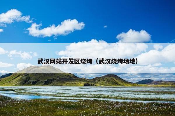 武汉网站开发区烧烤（武汉烧烤场地）
