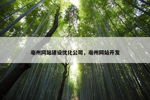 亳州网站建设优化公司，亳州网站开发