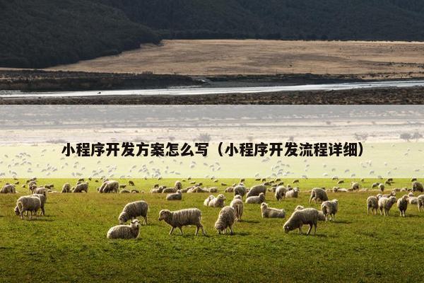 小程序开发方案怎么写（小程序开发流程详细）