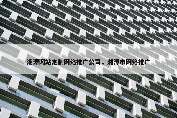 湘潭网站定制网络推广公司，湘潭市网络推广