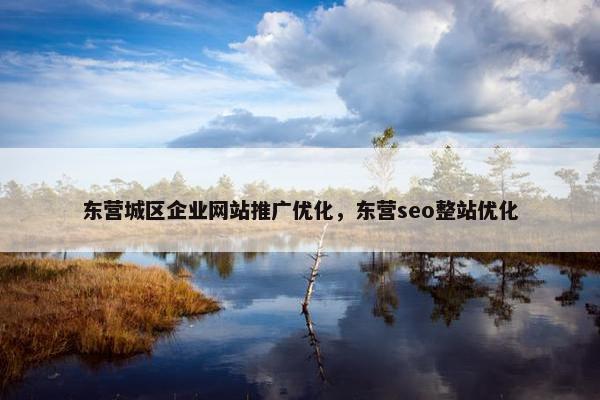 东营城区企业网站推广优化，东营seo整站优化