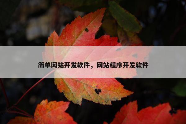 简单网站开发软件，网站程序开发软件