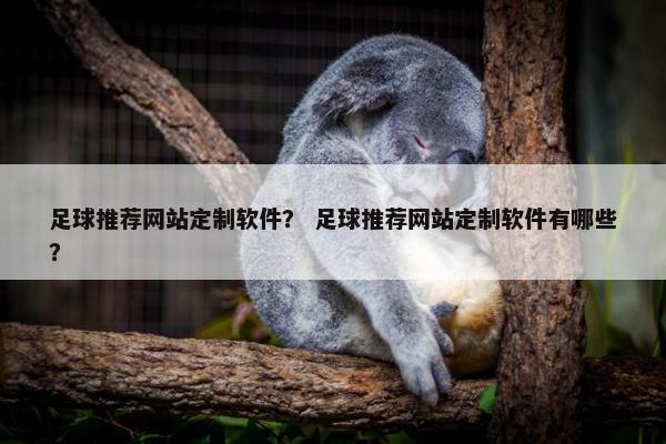 足球推荐网站定制软件？ 足球推荐网站定制软件有哪些？