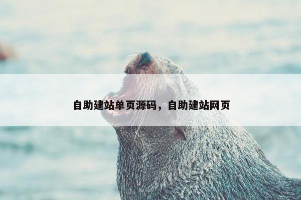 自助建站单页源码，自助建站网页