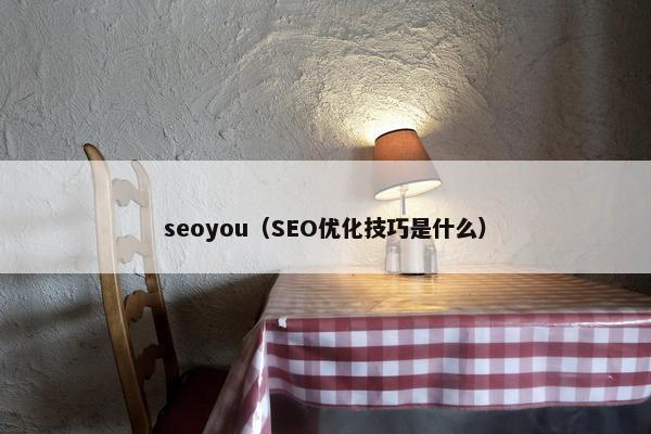 seoyou（SEO优化技巧是什么）
