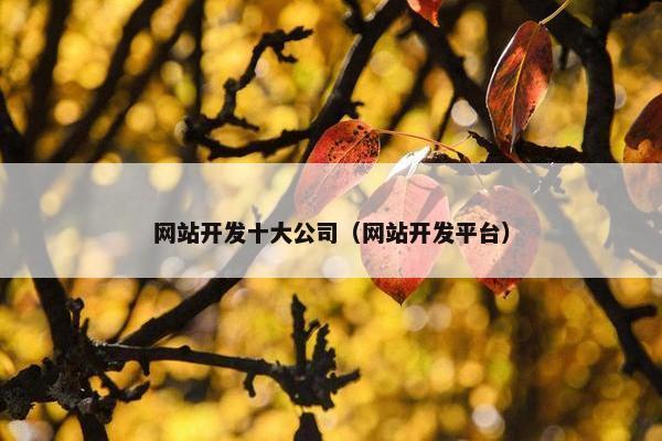 网站开发十大公司（网站开发平台）