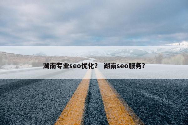 湖南专业seo优化？ 湖南seo服务？