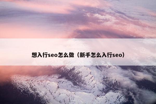 想入行seo怎么做（新手怎么入行seo）