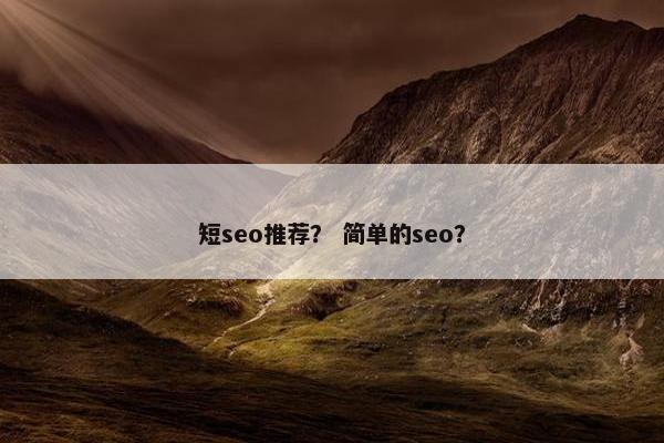 短seo推荐？ 简单的seo？