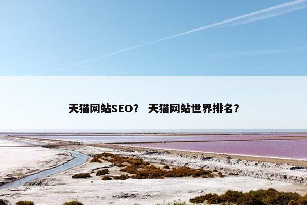 天猫网站SEO？ 天猫网站世界排名？