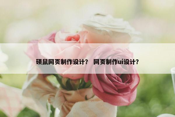 硕鼠网页制作设计？ 网页制作ui设计？