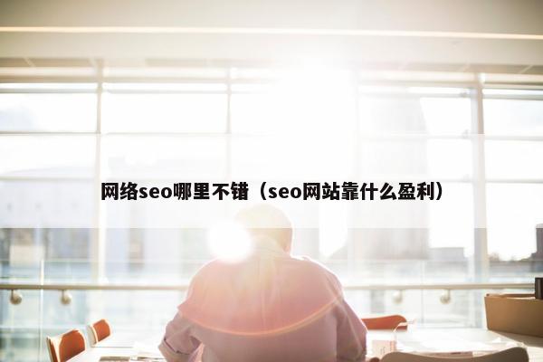 网络seo哪里不错（seo网站靠什么盈利）