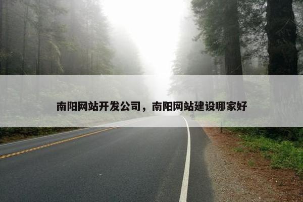 南阳网站开发公司，南阳网站建设哪家好