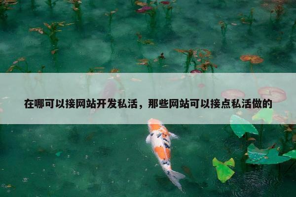 在哪可以接网站开发私活，那些网站可以接点私活做的