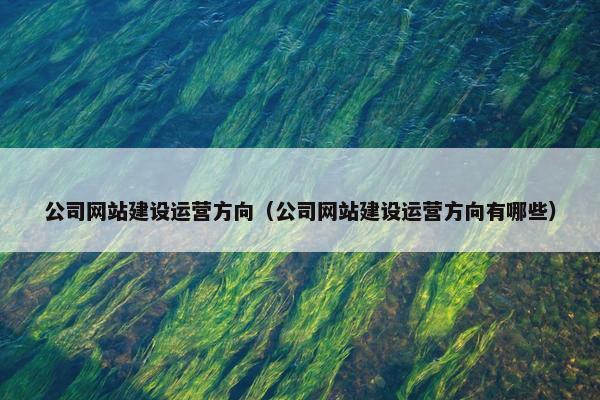 公司网站建设运营方向（公司网站建设运营方向有哪些）