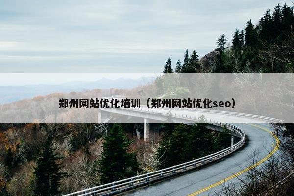 郑州网站优化培训（郑州网站优化seo）