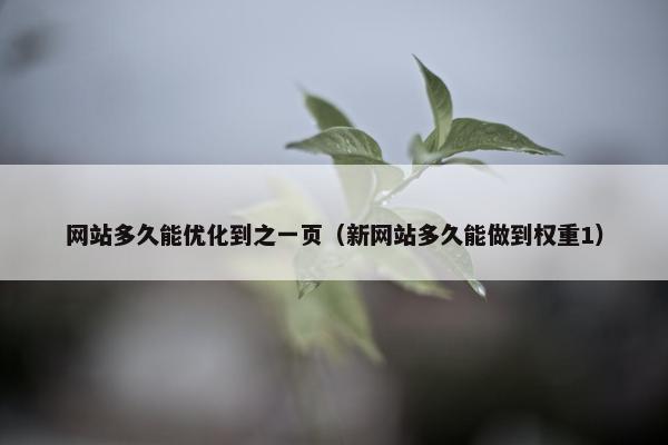 网站多久能优化到之一页（新网站多久能做到权重1）