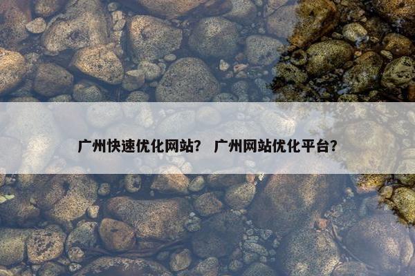 广州快速优化网站？ 广州网站优化平台？