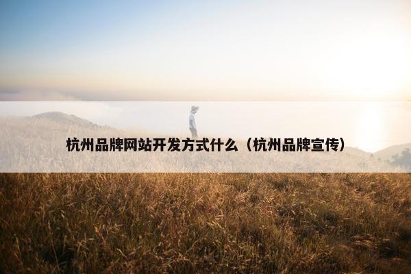 杭州品牌网站开发方式什么（杭州品牌宣传）