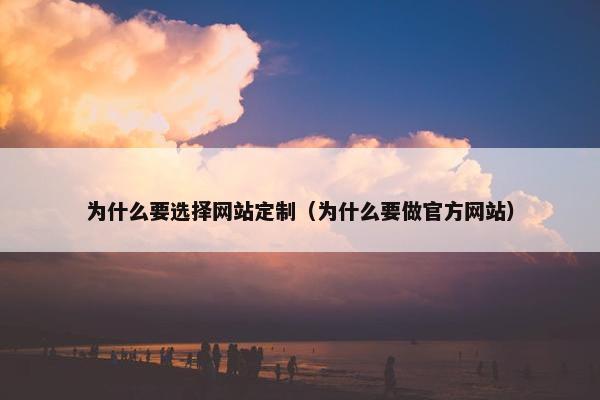 为什么要选择网站定制（为什么要做官方网站）