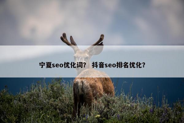宁夏seo优化词？ 抖音seo排名优化？
