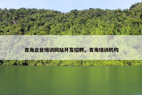 青海企业培训网站开发招聘，青海培训机构