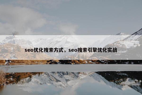 seo优化搜索方式，seo搜索引擎优化实战