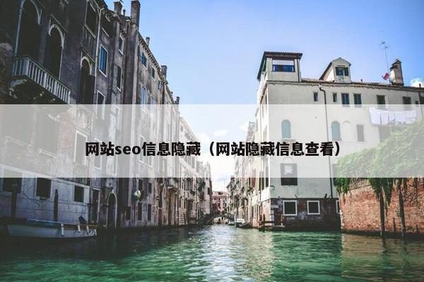 网站seo信息隐藏（网站隐藏信息查看）